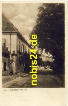 Wilder Mann Dresden Gut Bürgerverein o 1914