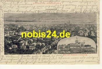 01445 Loessnitz Radebeul Hotel Friedensburg o 1919