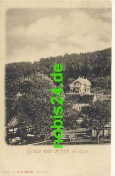 02697 Hayn bei Oybin *ca.1930
