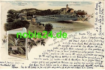 Halle Saalethal  Litho  o 19.1.1897