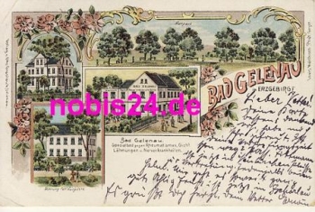 Bad Gelenau Litho Gasthaus o 1908