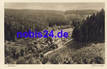 07607 Eisenberg Muhltal Pfarrmuhle *ca.1920