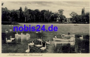 99974 Mühlhausen Schwäne  ca.1950