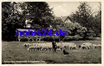 99880 Schnepfenthal Klostermuehle sheep o 1938