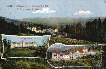 01844 Hohwald Heilstaette gebr. ca. 1913