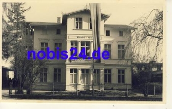 17429 Bansin Wald und Seehaus  *ca.1950