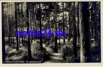 18225 Arendsee Ostseebad Dunenwald  *ca.1940