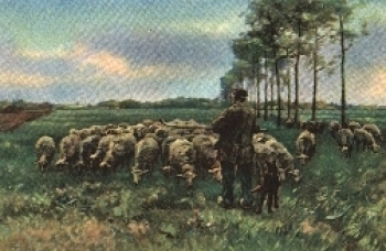 Am Morgen Künstlerpostkarte Antony Mauve Verlag Stengel Nr.29121
