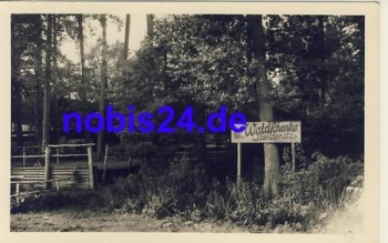 16816 Ruppiner Schweiz Waldschanke *ca.1958