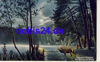 16816 Ruppiner Switzerland Teufelsee artist card * ca.1930