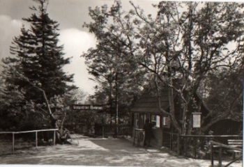 01773 Zinnwald-Georgenfeld, Hochmoor *ca. 1980