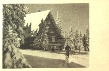 Winter sports man on skis * ca. 1940