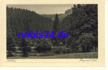 98559 Gehlberg Hungertalteich *ca.1929