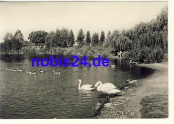 17192 Waren Mueritz Stadtpark o ca.1967