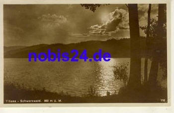 79822 Titisee Schwarzwald *ca.1930