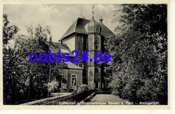 38723 Seesen District Court o around 1930