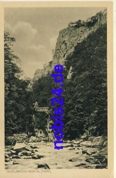 06502 Thale  Teufels brücke *ca.1930
