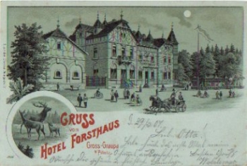 01827 Gross-Graupa Hotel Forsthaus  Moonlight lithograph o March 30, 1907