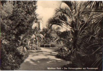 06786 Wörlitzer Park, palm garden with flora temple * July 28, 1973