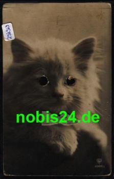 Katze, Cat, mit Schleife, Serie Nr. 8989/3, * ca. 1920