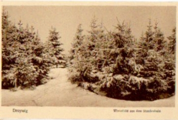 06722 Droyssig, Winterbild aus dem Staudenhain * ca. 1930