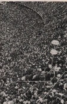 Olympic Games 1936 (view of the audience) collective picture, no postcard