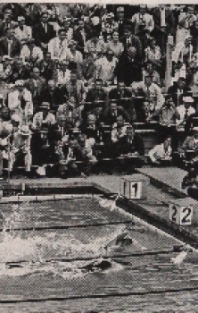 Olympic Games 1936 Jack Medica and Uto, freestyle swimming collective picture, no AK