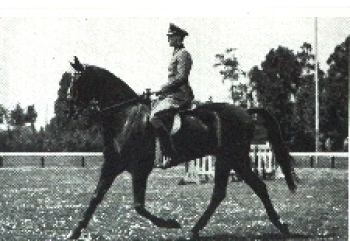 Olympic Games 1936 Pollay, winner in dressage riding