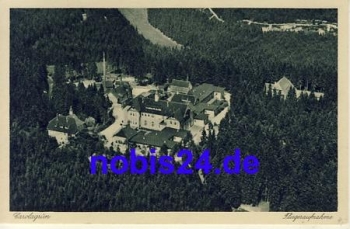 08209 Carolagrun *ca.1930