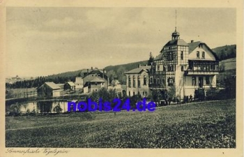 08209 Vogelsgrun Villenansicht o 1928