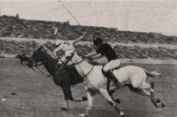 Olympic Games 1936, Hunting of the Horsemen collective picture, no AK