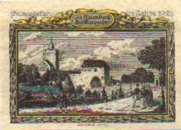 06618 Alt Naumburg city emergency money 25 pfennigs Marienthor 1921