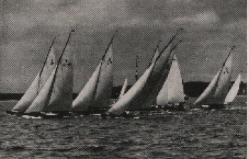 Olympic Games 1936, boats of the 8-m-R-class collective picture, no AK