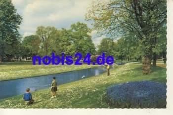 Flower garden NETHERLANDS *ca.1965