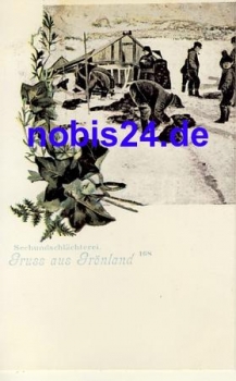 Grönland DÄNEMARK Seehundschlächter *ca.1900