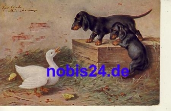 Dachshund with goose artist card o 1916