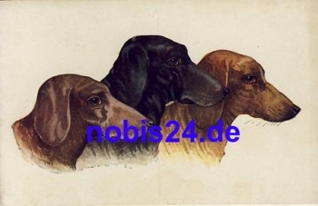 Dachshund Head Parade * circa 1920