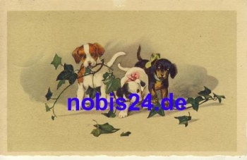 Dachshund Group o 1928