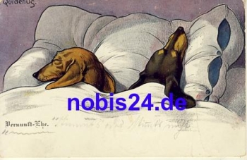 Dackel im Bettchen o 1906