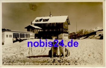 Bernhardiener dog o 1935