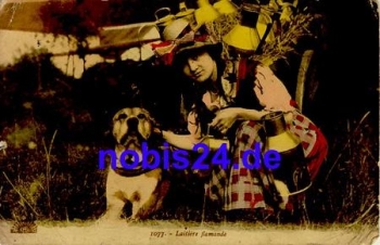 Lady dog ​​fashion o1915