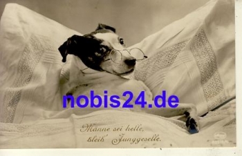 Hund mit Brille *ca.1920