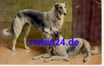 Persische Windhunde Künstlerkarte Reichert *ca.1915
