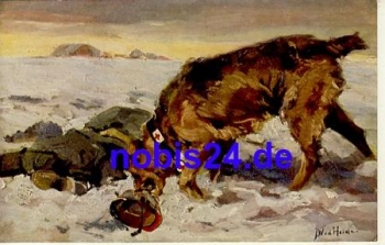 Medical dog artist card * ca.1915