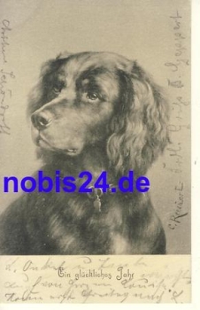 New Year's Hunting Dog o 1903