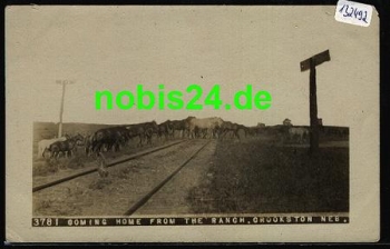 Nebraska Crookston Horses Coming Home from Ranch *ca. 1930