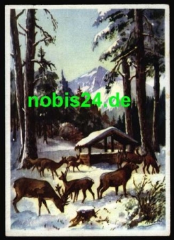 Deer in winter artist card Pohl *ca. 1960