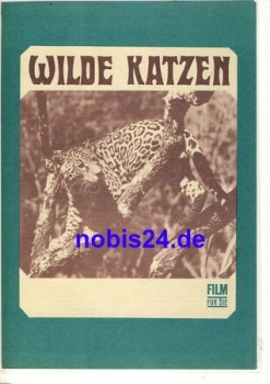 Wild Cats by James Algar Progress film program 93/69 film for you