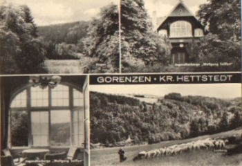 06343 Gorenzen Herd of sheep o 13.2.1984