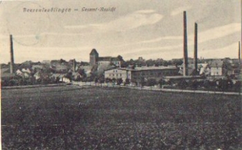 06425 Beesenlausslingen o 09.11.1912